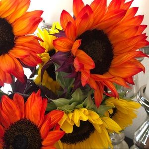 Meet your Posher, Anne